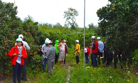 Đắk Lắk: Phát triển du lịch nông nghiệp gắn liền với tiêu thụ nông sản