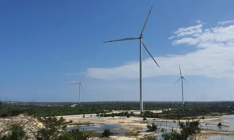 Gió vẫn thổi từ cát