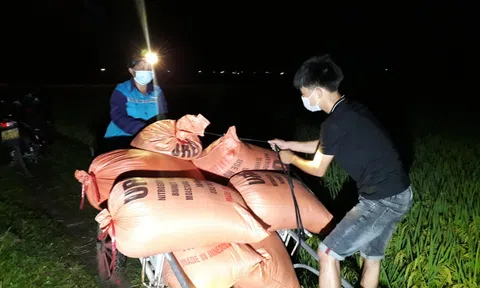 Hà Tĩnh: Nông dân Tùng Lộc hối hả gặt lúa, chạy đua với bão số 5