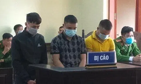 Hà Tĩnh: 16 tháng tù giam cho 3 thanh niên trộm gà