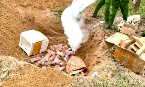 Hà Tĩnh: Tiêu hủy 1 tạ thịt động vật cùng hàng trăm khẩu súng đồ chơi không rõ nguồn gốc xuất xứ