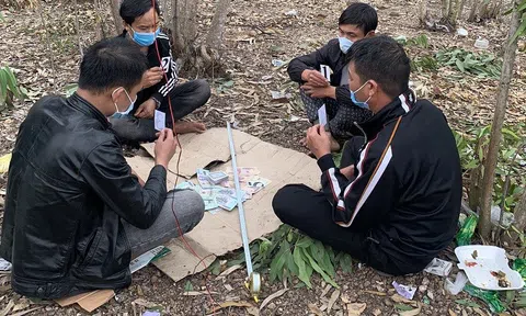 Quảng Bình: Bắt quả tang nhóm đối tượng đánh bạc tại đồi tràm