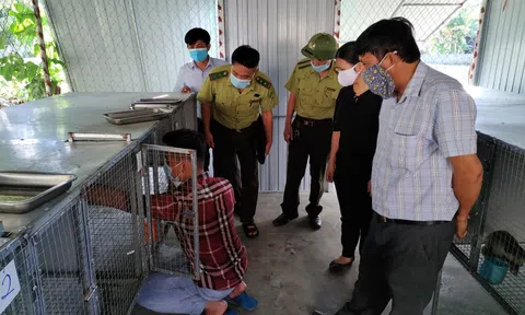 Hà Tĩnh: Thanh niên lập thân, lập nghiệp thành công với mô hình nuôi chồn trên chính mảnh đất quê hương