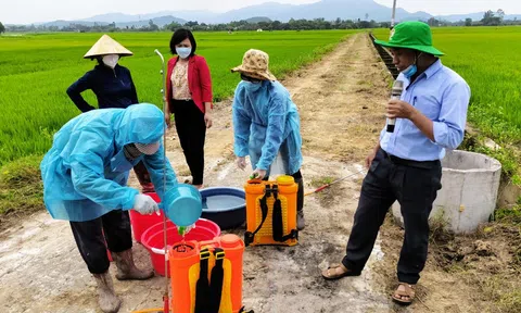 Lộc Hà (Hà Tĩnh): Hướng dẫn kỹ thuật đầu bờ cho người dân phun phòng bệnh đạo ôn cổ bông