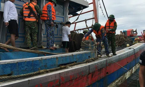 Hà Tĩnh: Bắt 2 tàu giả cào đánh bắt hải sản trái trái phép trên biển