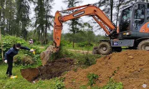 Lộc Hà (Hà Tĩnh): Vứt xác lợn chết ra ngoài môi trường, bị xử phạt 5,5 triệu đồng