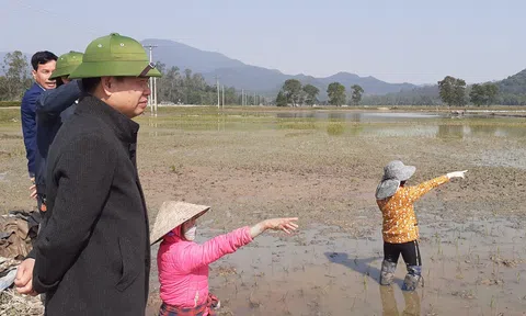 Hà Tĩnh: Chủ tịch huyện Lộc Hà thăm, động viên sản xuất nông nghiệp đầu xuân năm mới Quý Mão