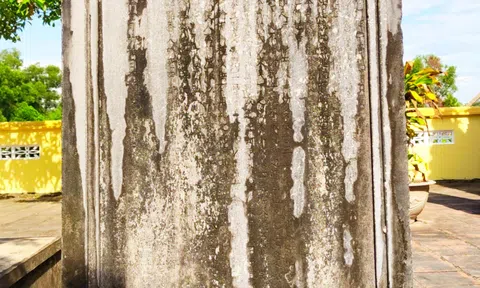 Di tích lịch sử văn hóa Bia Tiết Phụ - Nơi thờ tự hai bà vợ của Thạch Quận công Nguyễn Văn Chất