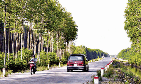 Thênh thênh đường về Đất Mũi