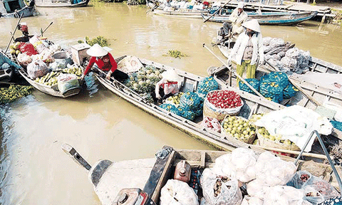 Chòng chành một khúc sông