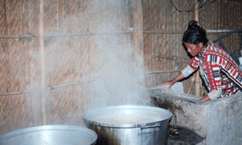 Mùa “trèo thốt nốt” ở Bảy Núi