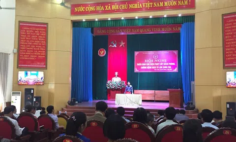 Vĩnh Tường: Phòng, chống bệnh dịch tả lợn Châu phi