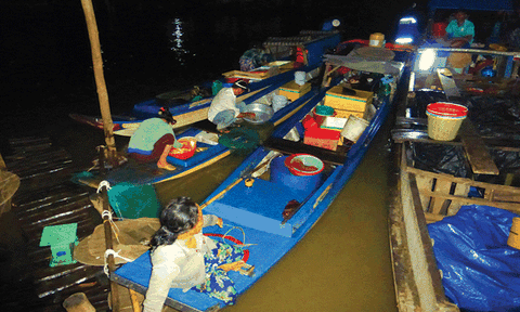 Chợ cá đồng lớn nhất miền Tây