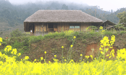 Bài thơ "Đẹp như tranh"