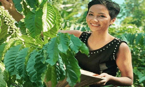 H'Hen Niê làm Đại sứ truyền thông Lễ hội cà phê Buôn Ma Thuột 2019