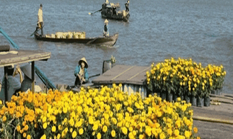 Vui buồn cùng dòng sông