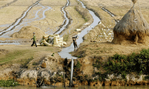 ĐBSCL: Nước sông đang xuống thấp, mặn đổ bộ!