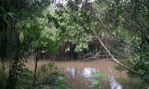 Về với Dầu Tiếng “sơn thủy hữu tình”...