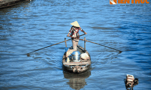 Kỳ thú miền đất bảy “con rồng” hội tụ ở Nam Bộ 