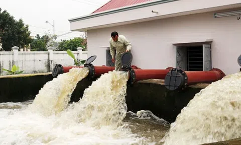 Vĩnh Phúc: Đủ nước tưới dưỡng cho lúa Xuân