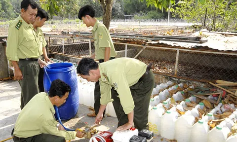 An Giang tăng cường phòng chống cháy rừng