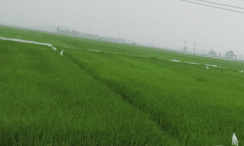 Đột phá trong phát triển kinh tế - xã hội ở Hưng Yên Nam