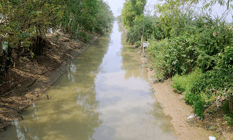 An Giang: Chuyện bên dòng kênh Thần Nông