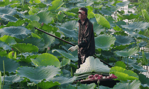 Một lần sông nước miền Tây