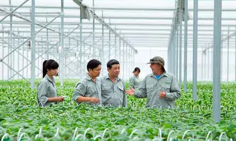 Sản xuất sạch: Xu thế sống còn hay quy trình tốn kém?