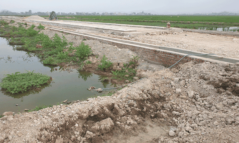 Quỳnh Lưu (Nghệ An): Hàng loạt sai phạm tại công trình phân lô bán nền xã Quỳnh Hậu?