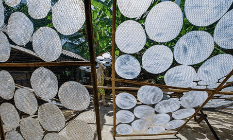 Làng nghề bánh tráng Lựu Bảo