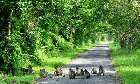 Vườn Quốc gia U Minh Thượng, nguồn lực phát triển du lịch