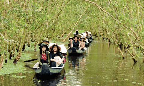 Kỳ quan xanh hạ lưu dòng Mekong