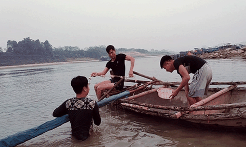 Phú Thọ: Độc đáo nghề đánh Bống trên sông Lô