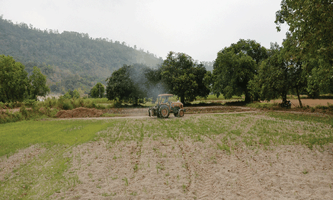 Canh tác mùa khô ở Bảy Núi