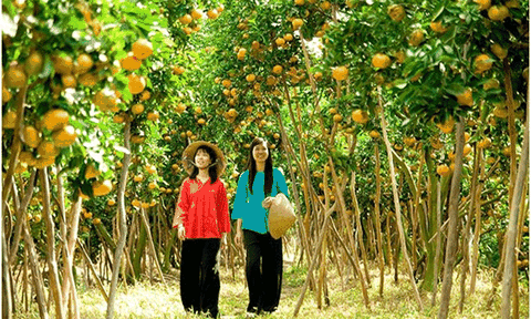 Đến An Giang để trải nghiệm du lịch nông nghiệp sạch