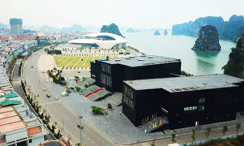 Đất nền Quảng Ninh sẽ diễn biến ra sao trong 2019?