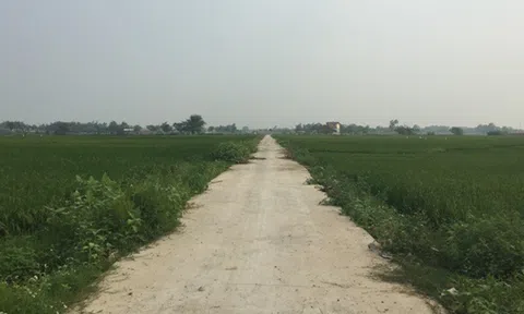 Kim Xá sớm hoàn thành 2 tiêu chí xây dựng nông thôn mới