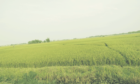 Đức Dũng khởi sắc trong xây dựng nông thôn mới