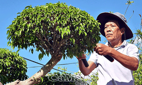 Khi nông dân hoá thân thành “nghệ sĩ”