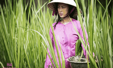 Khi điện ảnh thị trường thu hút khán giả