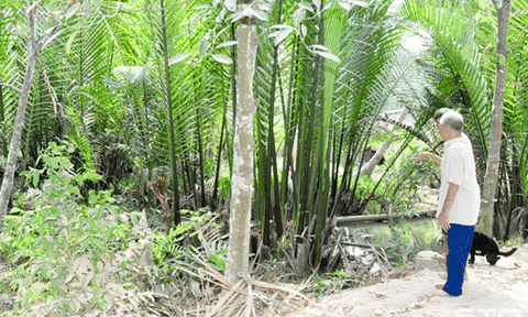 Đi tìm rạch Xương Trắng