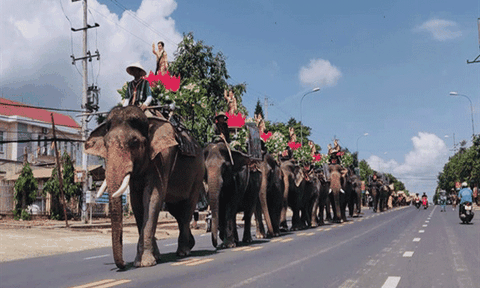Lần đầu tiên đưa voi vào diễu hành Lễ rước Phật