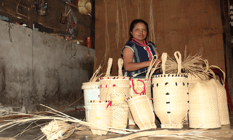 Phát huy văn hóa bản địa, tạo sinh kế cho dân
