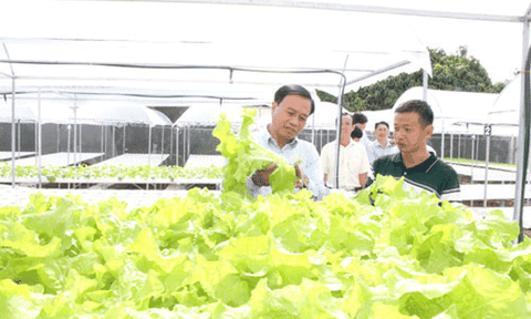 Những mô hình hữu cơ tiền tỉ ở ĐBSCL 