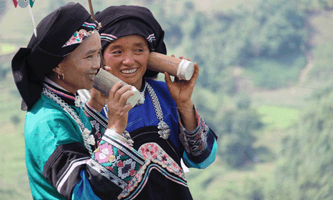 Tết "Sử Giề Pà" tạ ơn Thần trâu dẫn nước của người Bố Y