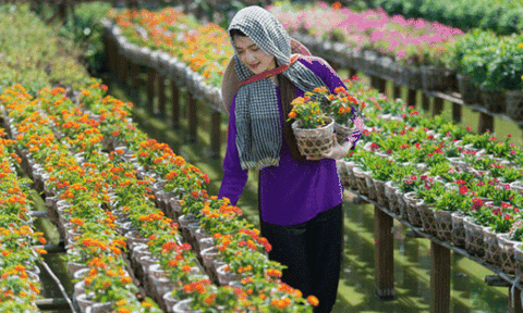 Đồng Tháp: Công bố danh sách 73 điểm phát triển du lịch cộng đồng