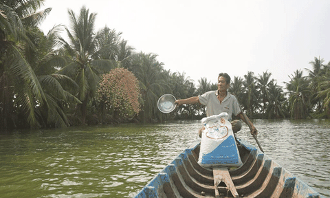 Triệu phú vùng quê