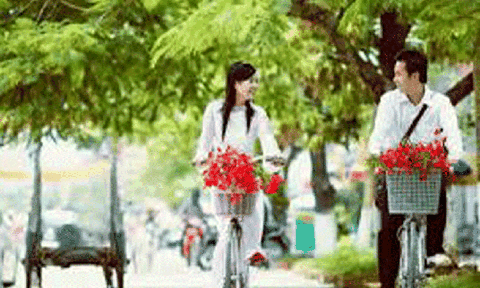 Em chở mùa hè của tôi đi đâu?