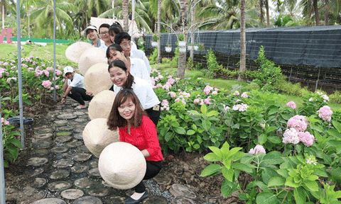 Du lịch Hạ Thảo xanh tươi giữa thành phố